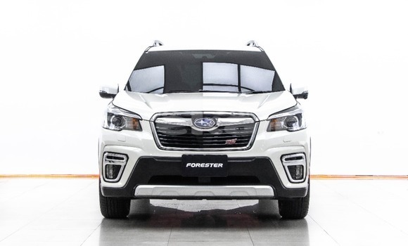 Buy Used Subaru Forester White Car in Bangkok in Bangkok Buy Used Subaru Forester White Car in Bangkok in Bangkok