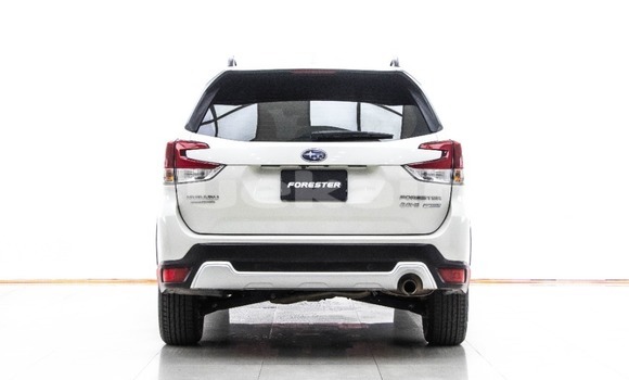 Buy Used Subaru Forester White Car in Bangkok in Bangkok Buy Used Subaru Forester White Car in Bangkok in Bangkok