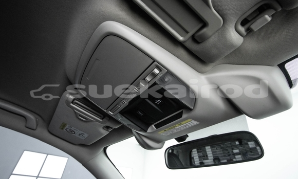 Buy Used Subaru Forester White Car in Bangkok in Bangkok Buy Used Subaru Forester White Car in Bangkok in Bangkok