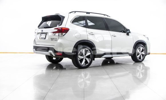 ซื้อ รถมือสอง Subaru Forester ขาว รถยนต์ ใน %{เมือง} ใน กรุงเทพมหานคร ซื้อ รถมือสอง Subaru Forester ขาว รถยนต์ ใน %{เมือง} ใน กรุงเทพมหานคร