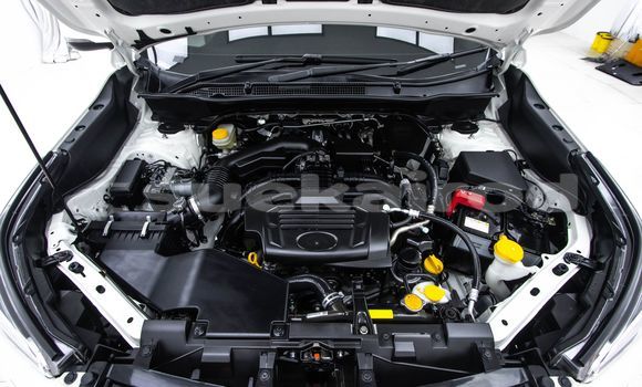 ซื้อ รถมือสอง Subaru Forester ขาว รถยนต์ ใน %{เมือง} ใน กรุงเทพมหานคร ซื้อ รถมือสอง Subaru Forester ขาว รถยนต์ ใน %{เมือง} ใน กรุงเทพมหานคร