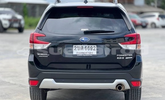 ซื้อ รถมือสอง Subaru Forester สีดำ รถยนต์ ใน %{เมือง} ใน กรุงเทพมหานคร ซื้อ รถมือสอง Subaru Forester สีดำ รถยนต์ ใน %{เมือง} ใน กรุงเทพมหานคร