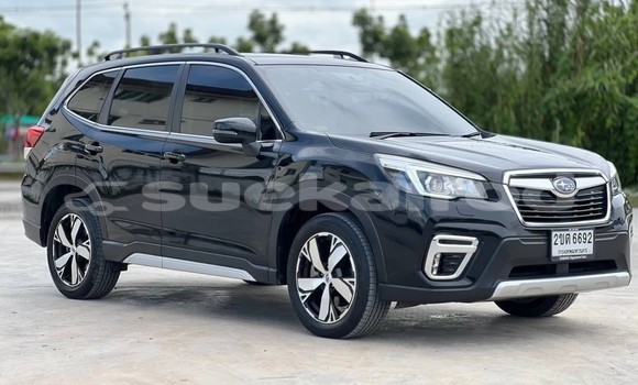 ซื้อ รถมือสอง Subaru Forester สีดำ รถยนต์ ใน %{เมือง} ใน กรุงเทพมหานคร ซื้อ รถมือสอง Subaru Forester สีดำ รถยนต์ ใน %{เมือง} ใน กรุงเทพมหานคร