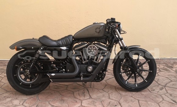 Buy Used Harley Davidson IRON Other Bike in Chonburi in Chonburi Buy Used Harley Davidson IRON Other Bike in Chonburi in Chonburi