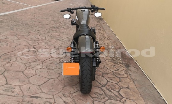 Buy Used Harley Davidson IRON Other Bike in Chonburi in Chonburi Buy Used Harley Davidson IRON Other Bike in Chonburi in Chonburi