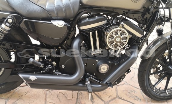 Buy Used Harley Davidson IRON Other Bike in Chonburi in Chonburi Buy Used Harley Davidson IRON Other Bike in Chonburi in Chonburi