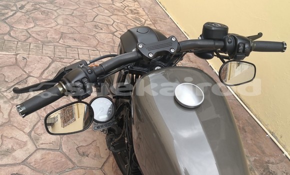 Buy Used Harley Davidson IRON Other Bike in Chonburi in Chonburi Buy Used Harley Davidson IRON Other Bike in Chonburi in Chonburi