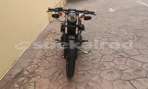 Buy Used Harley Davidson IRON Other Bike in Chonburi in Chonburi Buy Used Harley Davidson IRON Other Bike in Chonburi in Chonburi