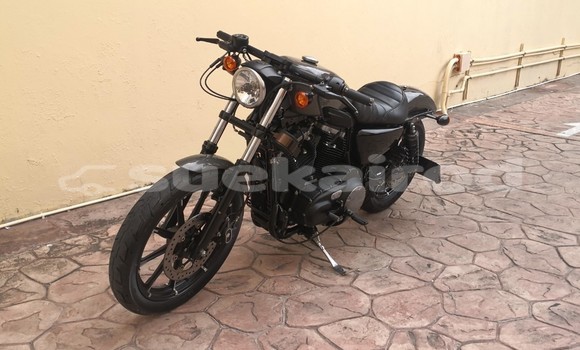Buy Used Harley Davidson IRON Other Bike in Chonburi in Chonburi Buy Used Harley Davidson IRON Other Bike in Chonburi in Chonburi