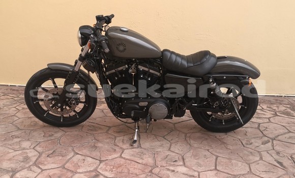 Buy Used Harley Davidson IRON Other Bike in Chonburi in Chonburi Buy Used Harley Davidson IRON Other Bike in Chonburi in Chonburi