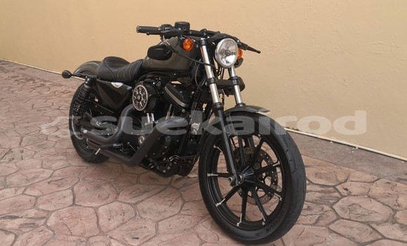 Buy Used Harley Davidson IRON Other Bike in Chonburi in Chonburi Buy Used Harley Davidson IRON Other Bike in Chonburi in Chonburi
