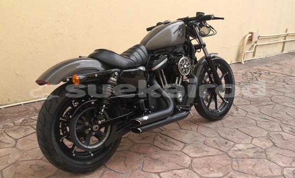 Buy Used Harley Davidson IRON Other Bike in Chonburi in Chonburi Buy Used Harley Davidson IRON Other Bike in Chonburi in Chonburi