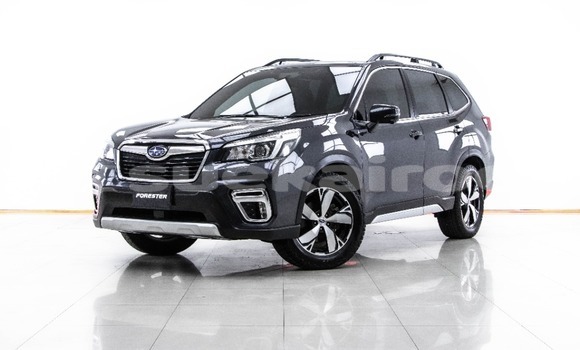 ซื้อ รถมือสอง Subaru Forester อื่น ๆ รถยนต์ ใน %{เมือง} ใน กรุงเทพมหานคร ซื้อ รถมือสอง Subaru Forester อื่น ๆ รถยนต์ ใน %{เมือง} ใน กรุงเทพมหานคร