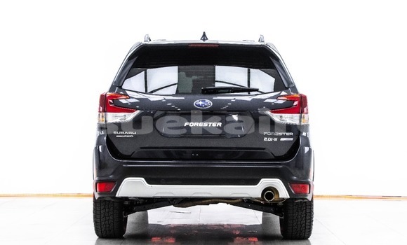 ซื้อ รถมือสอง Subaru Forester อื่น ๆ รถยนต์ ใน %{เมือง} ใน กรุงเทพมหานคร ซื้อ รถมือสอง Subaru Forester อื่น ๆ รถยนต์ ใน %{เมือง} ใน กรุงเทพมหานคร