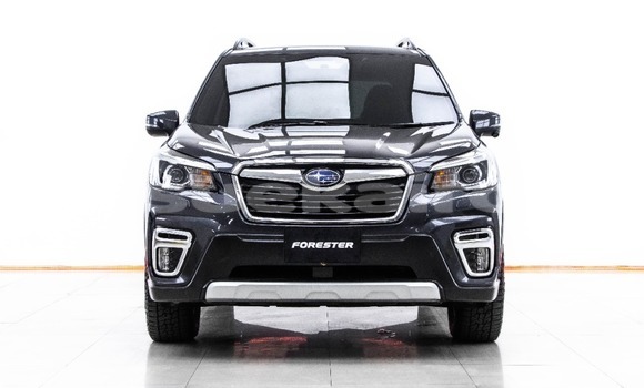 ซื้อ รถมือสอง Subaru Forester อื่น ๆ รถยนต์ ใน %{เมือง} ใน กรุงเทพมหานคร ซื้อ รถมือสอง Subaru Forester อื่น ๆ รถยนต์ ใน %{เมือง} ใน กรุงเทพมหานคร