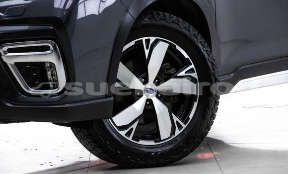 ซื้อ รถมือสอง Subaru Forester อื่น ๆ รถยนต์ ใน %{เมือง} ใน กรุงเทพมหานคร ซื้อ รถมือสอง Subaru Forester อื่น ๆ รถยนต์ ใน %{เมือง} ใน กรุงเทพมหานคร