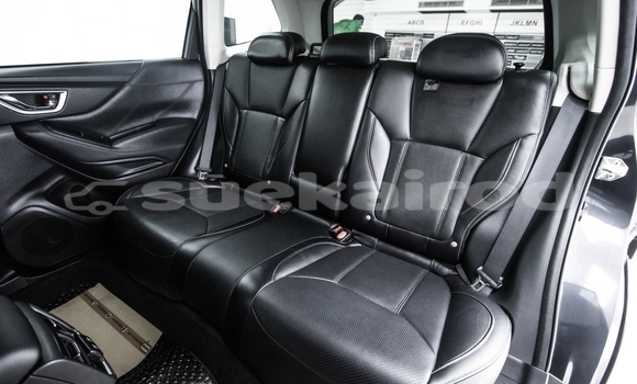 ซื้อ รถมือสอง Subaru Forester อื่น ๆ รถยนต์ ใน %{เมือง} ใน กรุงเทพมหานคร ซื้อ รถมือสอง Subaru Forester อื่น ๆ รถยนต์ ใน %{เมือง} ใน กรุงเทพมหานคร