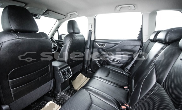 ซื้อ รถมือสอง Subaru Forester อื่น ๆ รถยนต์ ใน %{เมือง} ใน กรุงเทพมหานคร ซื้อ รถมือสอง Subaru Forester อื่น ๆ รถยนต์ ใน %{เมือง} ใน กรุงเทพมหานคร