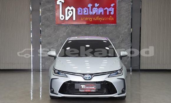 Buy Used Toyota Altis Silver Car in Bangkok in Bangkok