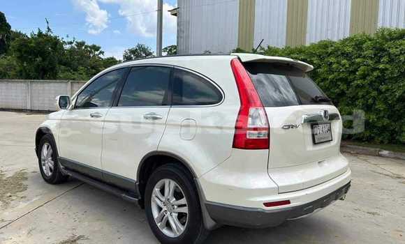 Buy Used Honda CR-V White Car in Bangkok in Bangkok Buy Used Honda CR-V White Car in Bangkok in Bangkok