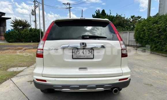 Buy Used Honda CR-V White Car in Bangkok in Bangkok Buy Used Honda CR-V White Car in Bangkok in Bangkok