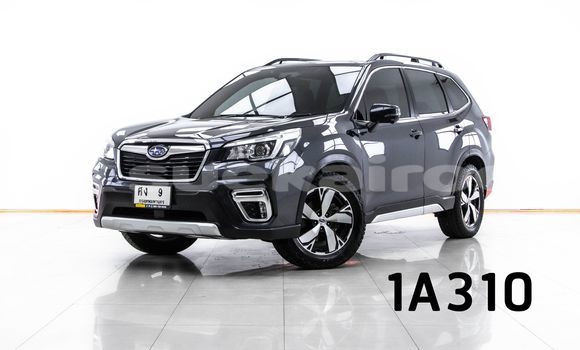ซื้อ รถมือสอง Subaru Forester อื่น ๆ รถยนต์ ใน %{เมือง} ใน กรุงเทพมหานคร ซื้อ รถมือสอง Subaru Forester อื่น ๆ รถยนต์ ใน %{เมือง} ใน กรุงเทพมหานคร