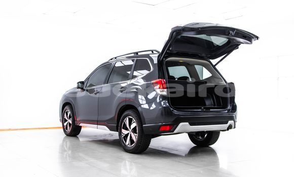 ซื้อ รถมือสอง Subaru Forester อื่น ๆ รถยนต์ ใน %{เมือง} ใน กรุงเทพมหานคร ซื้อ รถมือสอง Subaru Forester อื่น ๆ รถยนต์ ใน %{เมือง} ใน กรุงเทพมหานคร