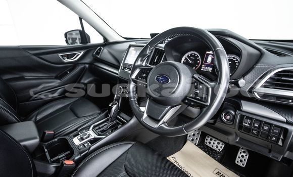 ซื้อ รถมือสอง Subaru Forester อื่น ๆ รถยนต์ ใน %{เมือง} ใน กรุงเทพมหานคร ซื้อ รถมือสอง Subaru Forester อื่น ๆ รถยนต์ ใน %{เมือง} ใน กรุงเทพมหานคร