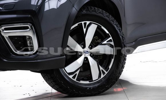 ซื้อ รถมือสอง Subaru Forester อื่น ๆ รถยนต์ ใน %{เมือง} ใน กรุงเทพมหานคร ซื้อ รถมือสอง Subaru Forester อื่น ๆ รถยนต์ ใน %{เมือง} ใน กรุงเทพมหานคร