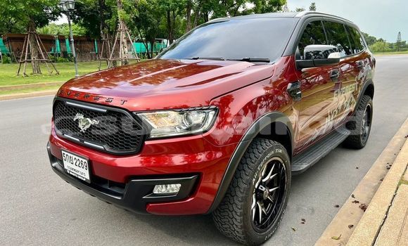 Buy Used Ford Everest Red Car in Bangkok in Bangkok Buy Used Ford Everest Red Car in Bangkok in Bangkok