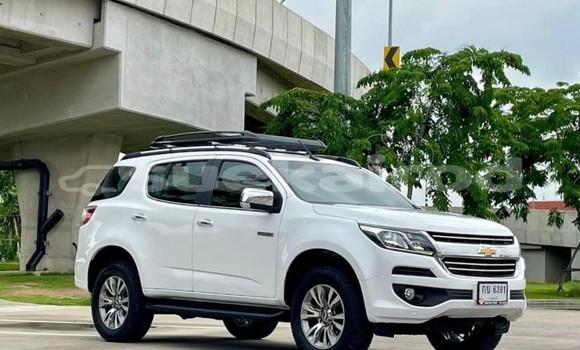 ซื้อ รถมือสอง Chevrolet TrailBlazer ขาว รถยนต์ ใน %{เมือง} ใน กรุงเทพมหานคร ซื้อ รถมือสอง Chevrolet TrailBlazer ขาว รถยนต์ ใน %{เมือง} ใน กรุงเทพมหานคร