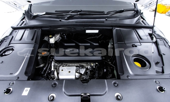 Buy Used Chevrolet Captiva White Car in Bangkok in Bangkok Buy Used Chevrolet Captiva White Car in Bangkok in Bangkok