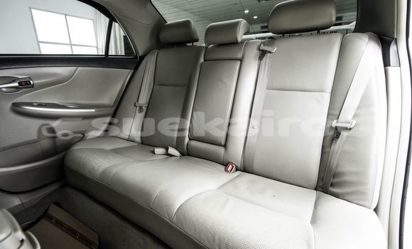 Buy Used Toyota Altis White Car in Bangkok in Bangkok Buy Used Toyota Altis White Car in Bangkok in Bangkok