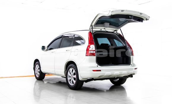 ซื้อ รถมือสอง Honda CR-V ขาว รถยนต์ ใน %{เมือง} ใน กรุงเทพมหานคร ซื้อ รถมือสอง Honda CR-V ขาว รถยนต์ ใน %{เมือง} ใน กรุงเทพมหานคร