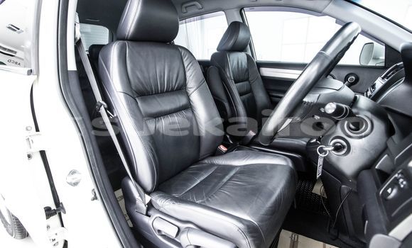 ซื้อ รถมือสอง Honda CR-V ขาว รถยนต์ ใน %{เมือง} ใน กรุงเทพมหานคร ซื้อ รถมือสอง Honda CR-V ขาว รถยนต์ ใน %{เมือง} ใน กรุงเทพมหานคร