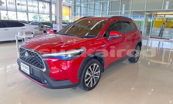 Buy Used Toyota Corolla Cross Red Car in Bangkok in Bangkok Buy Used Toyota Corolla Cross Red Car in Bangkok in Bangkok