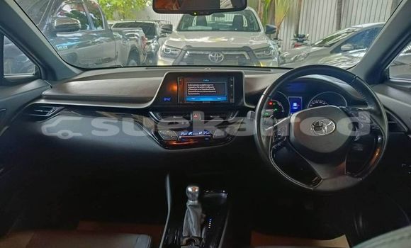 Buy Used Toyota C-HR Red Car in Bangkok in Bangkok Buy Used Toyota C-HR Red Car in Bangkok in Bangkok
