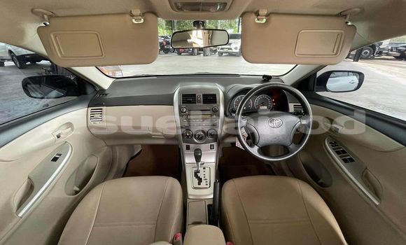 Buy Used Toyota Corolla White Car in Bangkok in Bangkok Buy Used Toyota Corolla White Car in Bangkok in Bangkok