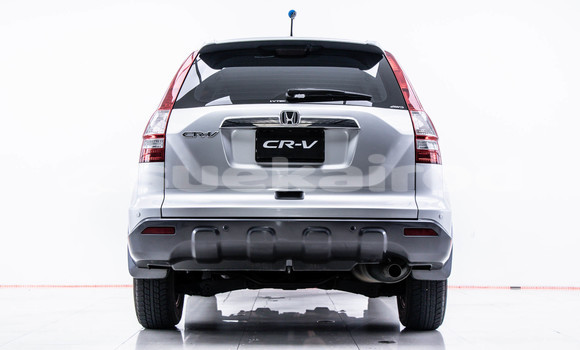 ซื้อ รถมือสอง Honda CR-V อื่น ๆ รถยนต์ ใน %{เมือง} ใน กรุงเทพมหานคร ซื้อ รถมือสอง Honda CR-V อื่น ๆ รถยนต์ ใน %{เมือง} ใน กรุงเทพมหานคร