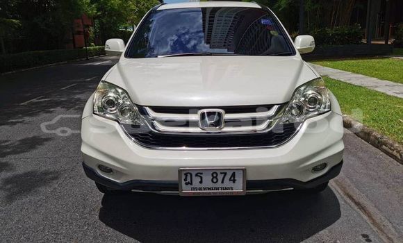 Buy Used Honda CR-V White Car in Bangkok in Bangkok