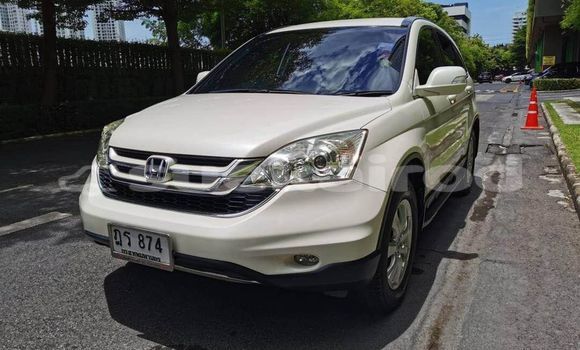 ซื้อ รถมือสอง Honda CR-V ขาว รถยนต์ ใน %{เมือง} ใน กรุงเทพมหานคร ซื้อ รถมือสอง Honda CR-V ขาว รถยนต์ ใน %{เมือง} ใน กรุงเทพมหานคร