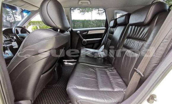 ซื้อ รถมือสอง Honda CR-V ขาว รถยนต์ ใน %{เมือง} ใน กรุงเทพมหานคร ซื้อ รถมือสอง Honda CR-V ขาว รถยนต์ ใน %{เมือง} ใน กรุงเทพมหานคร