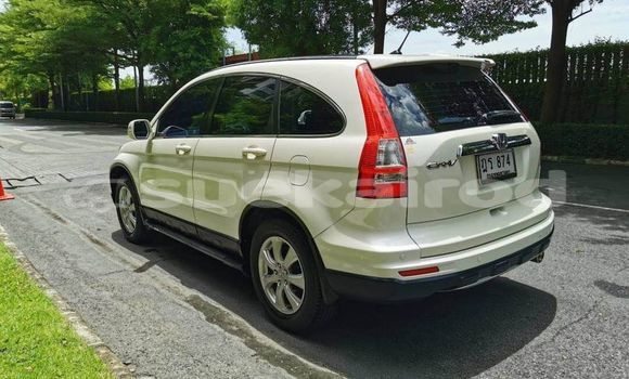 ซื้อ รถมือสอง Honda CR-V ขาว รถยนต์ ใน %{เมือง} ใน กรุงเทพมหานคร ซื้อ รถมือสอง Honda CR-V ขาว รถยนต์ ใน %{เมือง} ใน กรุงเทพมหานคร